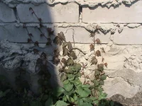 DSC01652.webp