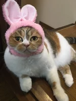 baf9fa.webp