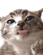 f3ghah.gif