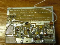 P1290026.JPG