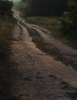 дорога.jpg