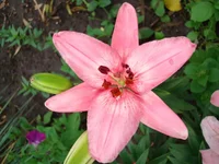 DSC05283.webp