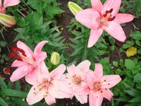 DSC05284.webp