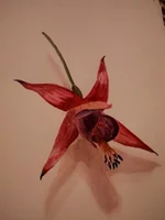 x_79ee5681.webp