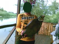 26062011(003).webp