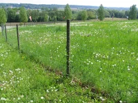 Zabor_kozachka_legki1_800_8.webp