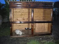 к 009.jpg