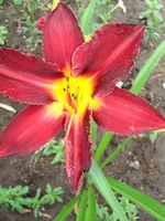 DSC05311.webp