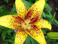 DSC05313.webp