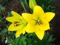 DSC05317.webp