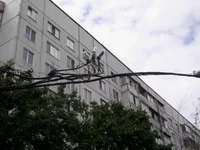 PIC_0866.webp