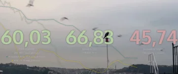 eeg6jb.jpg
