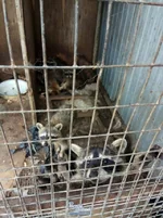 ja9bbh.webp