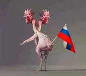 c4ecee.jpg