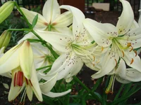 DSC05328.webp