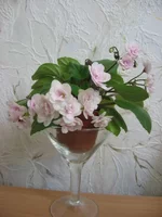 Rob's Vanilla Trail_0946.webp