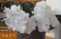 -мартовский снеговичек1.webp