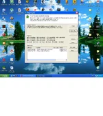 3.webp