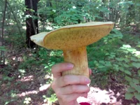 02072011139.webp