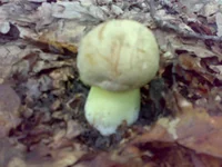 02072011143.webp
