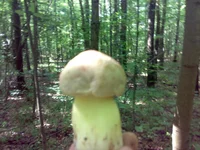 02072011145.webp