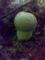 02072011147.webp