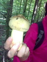 02072011150.webp