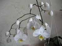 IMG_3048.webp