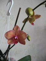 IMG_3046.jpg