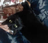 DSC0000185.webp