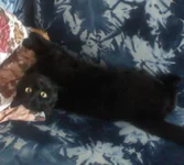 DSC0000184.webp