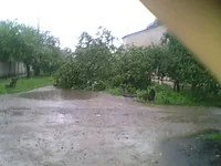 IMG0044A.webp