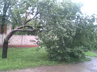 IMG0045A.webp