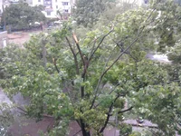 0369.webp