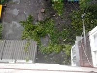 0371.webp