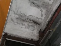PC090119.webp