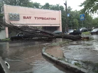 -0224.webp