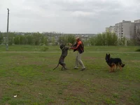 835.jpg