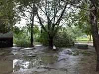 2011-07-04_18-37-54_804.webp