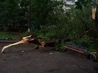 101_3879(1).webp