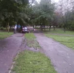 -0033.webp
