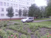 -0036.webp