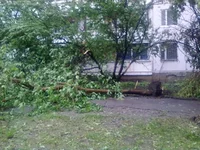 04072011206.webp