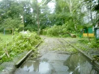 dsc00246.webp