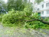 dsc00247.webp