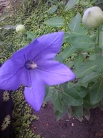 368.webp