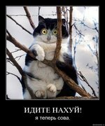 x_5883ffe0.jpg