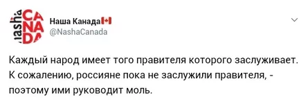 1ahdff.webp