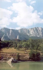 82.webp