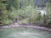 03.webp